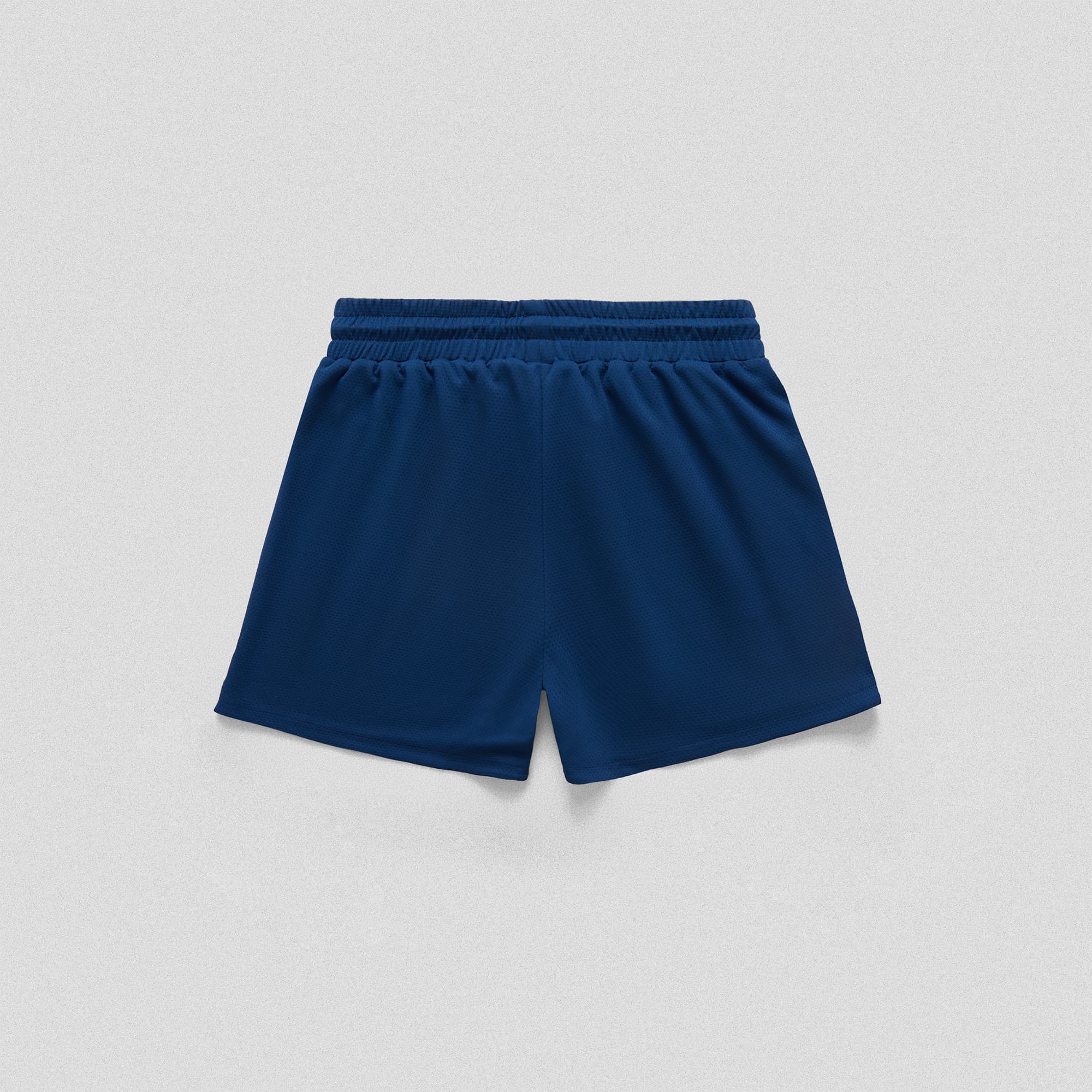 Core Skull Mesh Training Shorts - Royal Blue