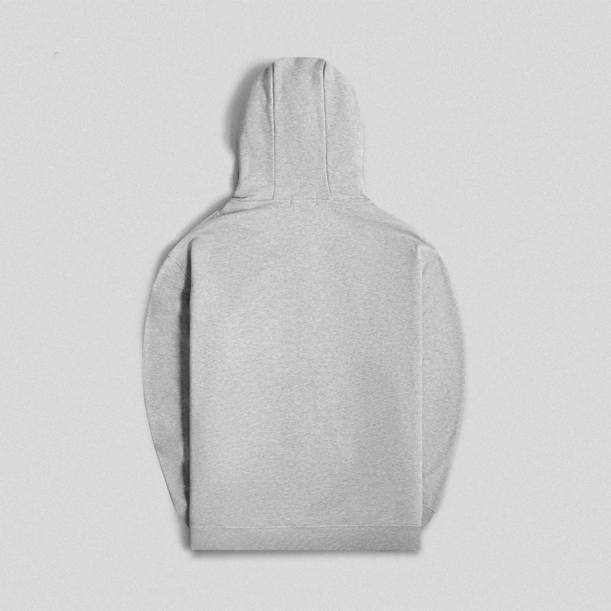 ascend hoodie heather gray back