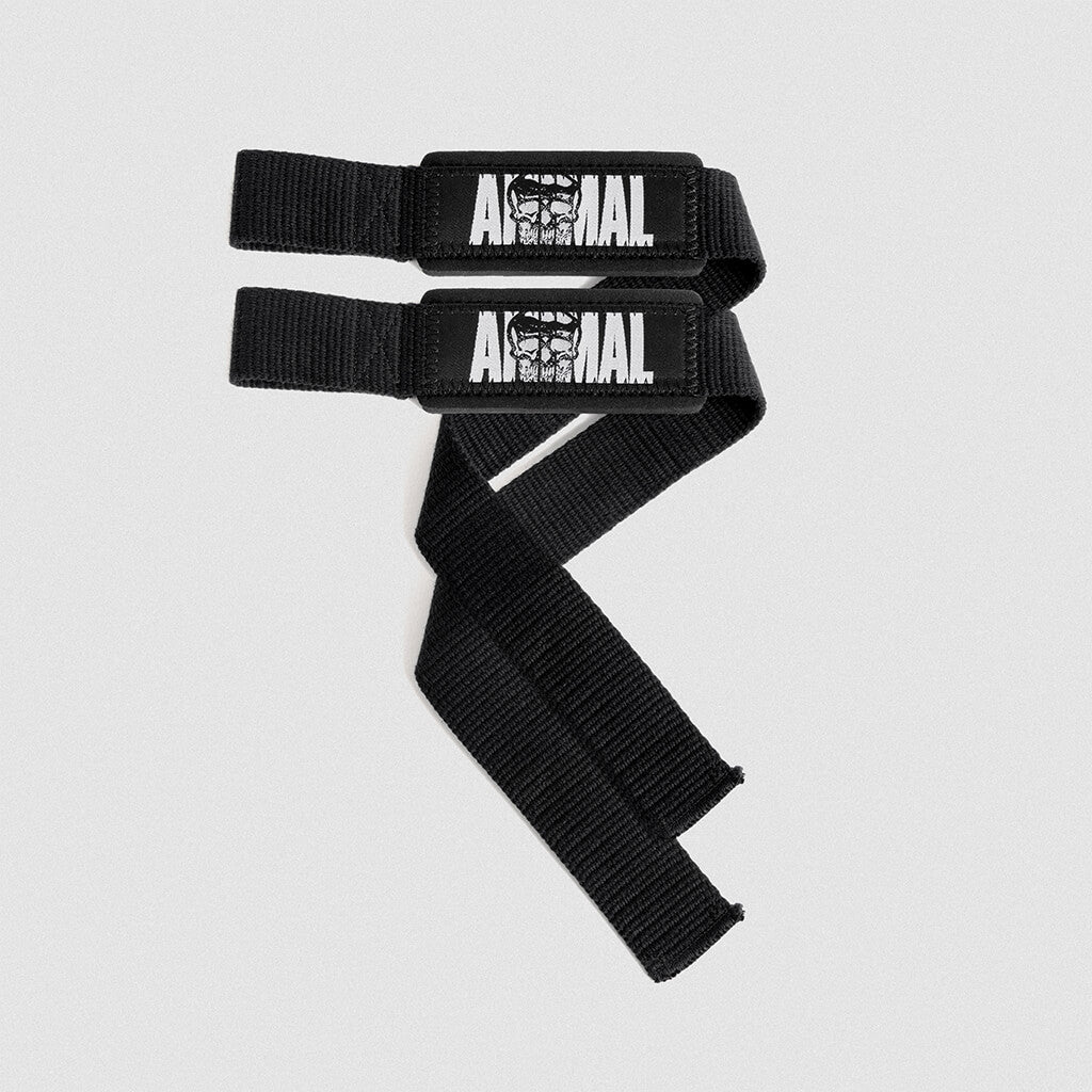 gr x animal lifting straps main