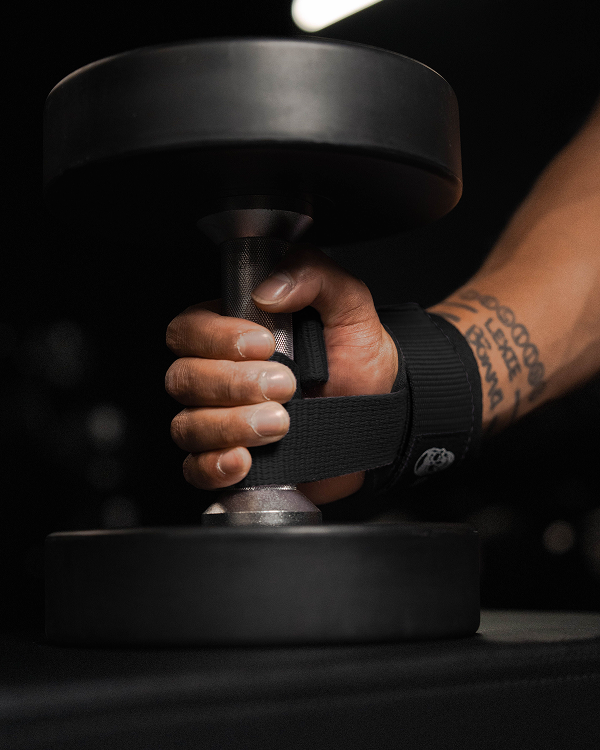 Adjustable Steel D-Ring System